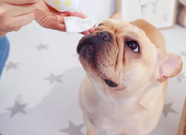 寵物用品進口報關(guān)關(guān)稅稅率（寵物用品進口關(guān)稅是多少？）