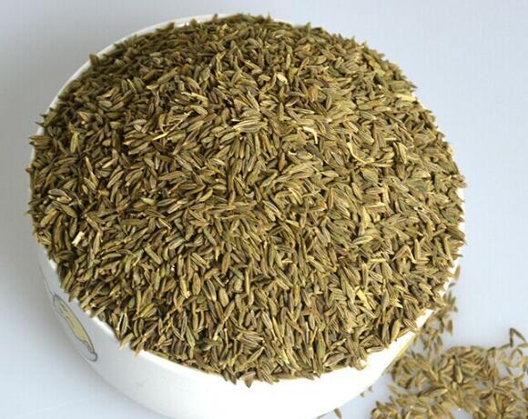 廣西欽州港孜然進(jìn)口報(bào)關(guān)代理公司(孜然進(jìn)口清關(guān)行)